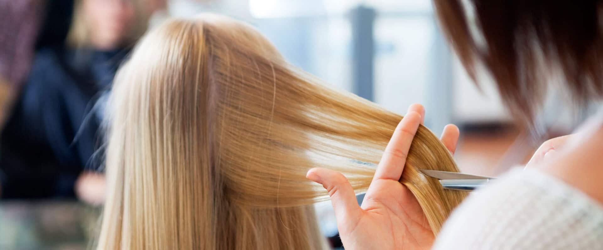 Hair stylist cutting a client's hair